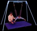 Vestibular Swing System