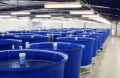 fish farming tanks