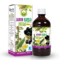 Jamun Karela Herbal Mix Juice