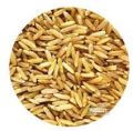 Brown long grain rice