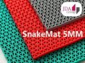 Swimming Pool Snake Mat