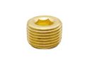 Golden Polished ATCAB brass countersunk hex plug