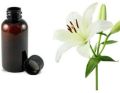 Wild Lily Fragrance Oil