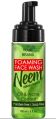 Neem Foaming Face Wash