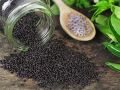Organic Black basil seeds