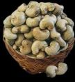 raw cashew nuts