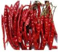 Fresh Organic Dried Red chilly