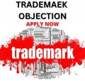 Trademark Objection Service