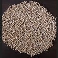 soybean seed