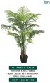 Green areca palm plants