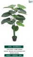 aureus 2168 decorative plant