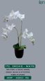 Green orchid - white 2123 b artificial plants