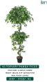 Green topiary panda ficus 2025 b artificial plants
