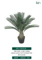 yucca 2150 decorative plants