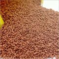 fish feed