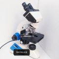 5-10kg Creamy 220V New Electricity MAYALAB Biological Binocular Microscope