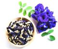 Natural Organic Herbo Tattva blue pea flower