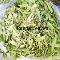 Rasna Leaves (Pluchea Lanceolata)