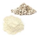 Powder White Kidney Bean Extract