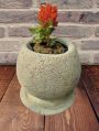 Pumice stone Rectengular Round Square Multi size Multicolor Indiana decor garden decorative planter