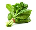 Natural fresh spinach leaves