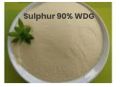 Sulphur 90% WDG Powder