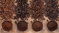 Brown Fermented coffee beans