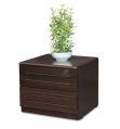 Wooden Brown Plain double drawer bedside table