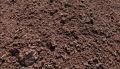 Organic brown vermicompost fertilizer