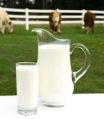 White Liquid fresh buffalo milk