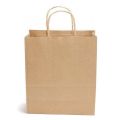 Twisted Rope Handle Paper Bag