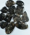 Black Fossil Turritella Cabochon Agate Gemstone