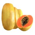 Natural a grade fresh yellow papaya