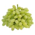 Natural Fresh Seedless Green Grapes