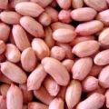 Natural java peanuts