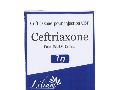 Ceftriaxone (Ceftriaxone pour injection USP)