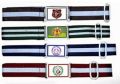 Polished Multicolour school belt