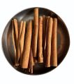 Brown cinnamon roll casia
