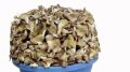 Whole natural dried oyster mushroom