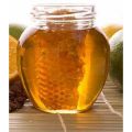 Gel Organic Raw Honey