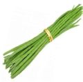 Organic Green fresh drumsticks