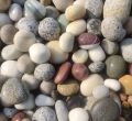 Natural Stone Multicolor Solid pebble stone