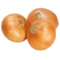 Natural fresh yellow onion