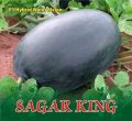 Sagar King F-1 Hybrid Watermelon Seeds