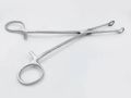 Stainless Steel Polished Silver sponge holding forceps