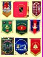 punjab regiment t flag