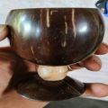 Coconut Shells Polished Round Brown coconut shell  cup