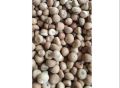 Natural Raw Brown Dried Areca Nuts