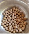 Assam Betelnut Organic Brown White Solid Solid 65 dried betel nuts