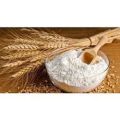 Natural Creamy pure wheat flour